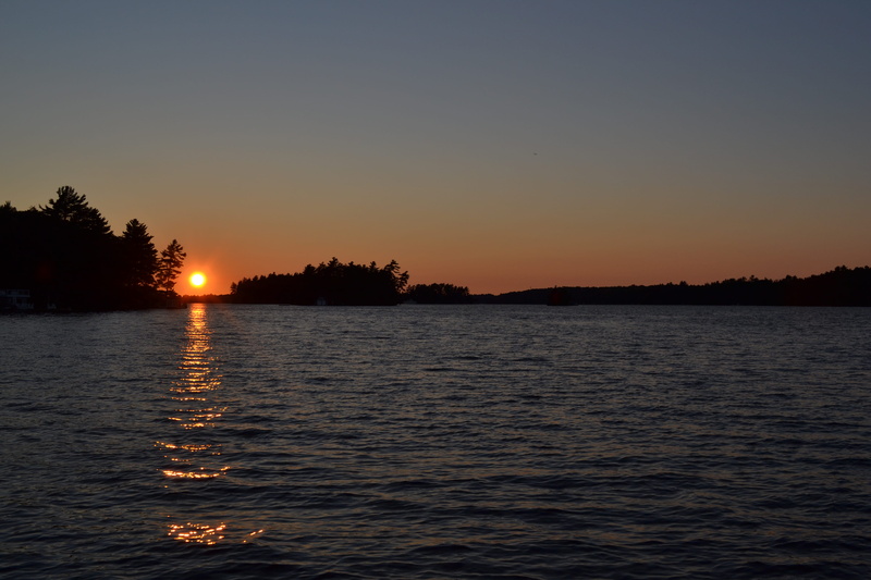 silhouette, canada, plant, idyllic, clear sky, scenics - nature, sky, muskoka, water, waterfront, tree, beauty in nature, tranquility, non-urban scene