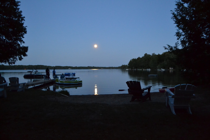 moon, beauty in nature, tranquility, transportation, scenics - nature, muskoka, mode of transportation, plant, 4K, sky, calm, water, nautical vessel, moonlight