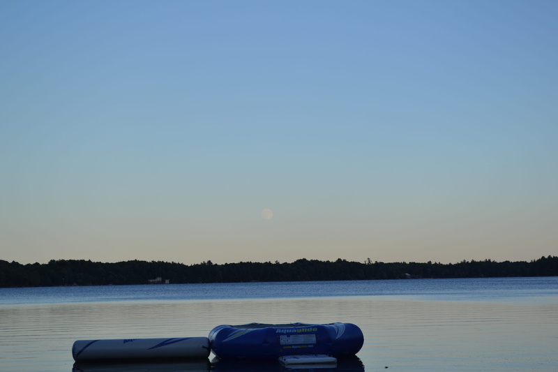 waterfront, nature, day, water, no people, tranquility, idyllic, beauty in nature, 4K, muskoka, clear lake, copy space, tranquil scene, sky, scenics - nature
