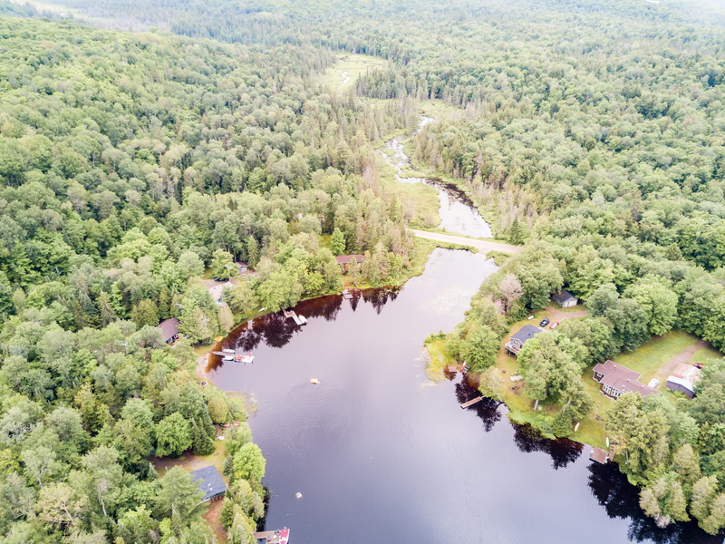 cottage, tree, scenics - nature, tranquil scene, high angle view, tranquility, beauty in nature, day, 4K, river, trees, aerial, foote lake, idyllic, growth