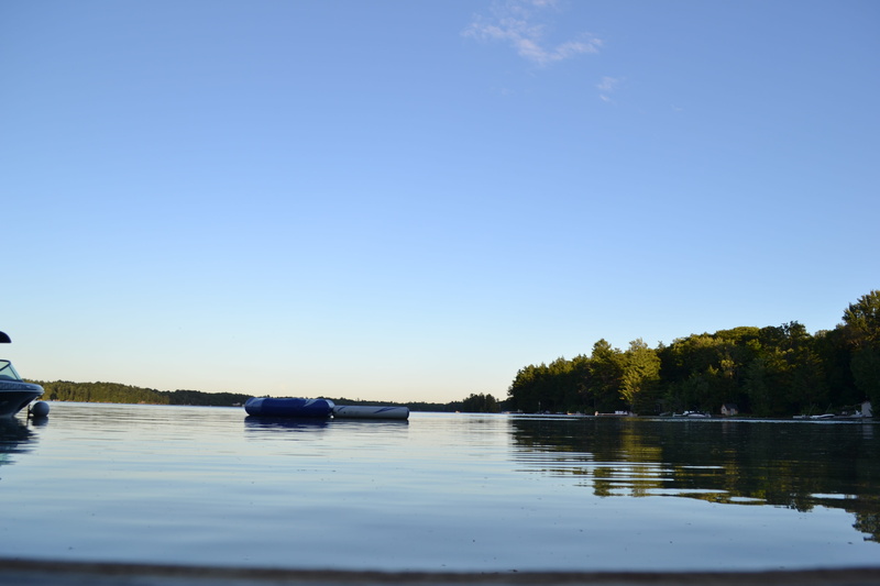 plant, sky, tranquil scene, water, blue, day, copy space, reflection, beauty in nature, view into land, waterfront, clear sky, no people, tree, canada