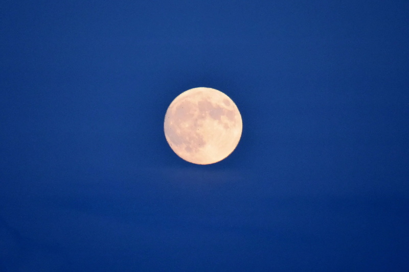 low angle view, full, idyllic, outer space, nature, moonlight, clear sky, astrology, copy space, space, outdoors, universe, tranquility, evening, 2K, astronomy
