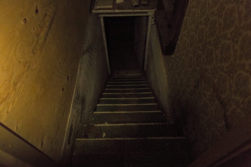 the way forward, fear, staircase, no people, muskoka, steps and staircases, basement, dark, mystery, illuminated, cellar, architecture, horror, 5K, absence