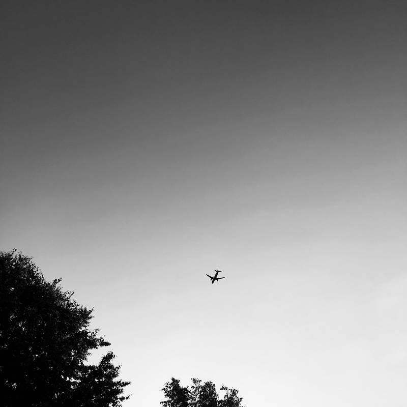 tree, motion, plant, transportation, airplan, flying, evening, black, trees, mid-air, day, tourism, mode of transportation, silhouette, clear