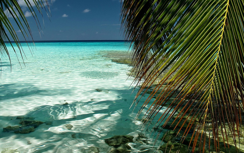 ocean, nature, indian, maldives, 2K, beach