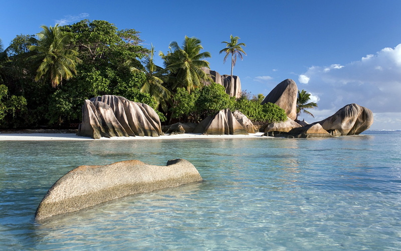 nature, windows, shores, 1080P, desktop, tree, palm tree, tropical tree, water, body, waterfront, beach, sunny, turquoise colored, sky, sea, plant, wa