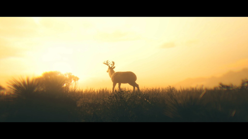 nature, 1080P, Red Dead Redemption 2
