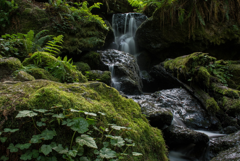 5K, forest, stones, Trillium Falls, CA, USA, stream