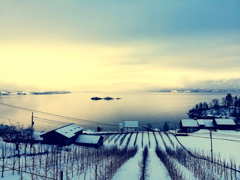 tranquil scene, cold temperature, plant, scenics - nature, photo, weather, winter, houses, outdoorchallenge, sky, beauty in nature, snow, outdoors, landscape