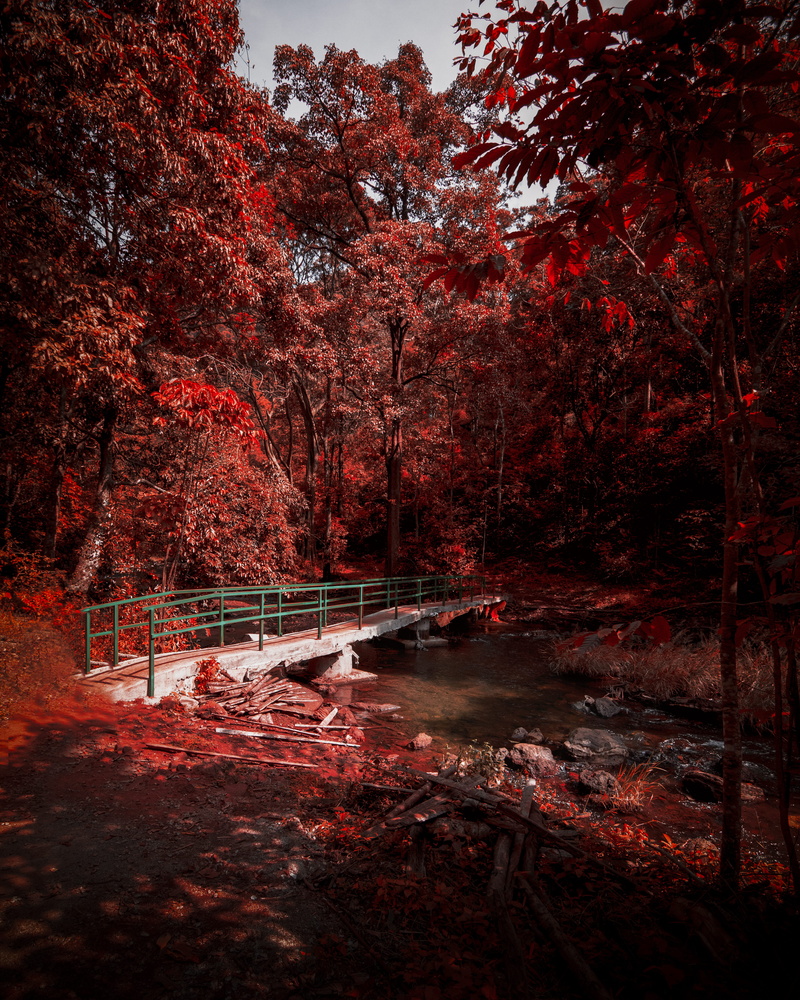 leafed, outdoorchallenge, absence, tranquil scene, day, park bench, 4K, park, outdoors, no people, bench, water, red, tree, autumn collection, bridge