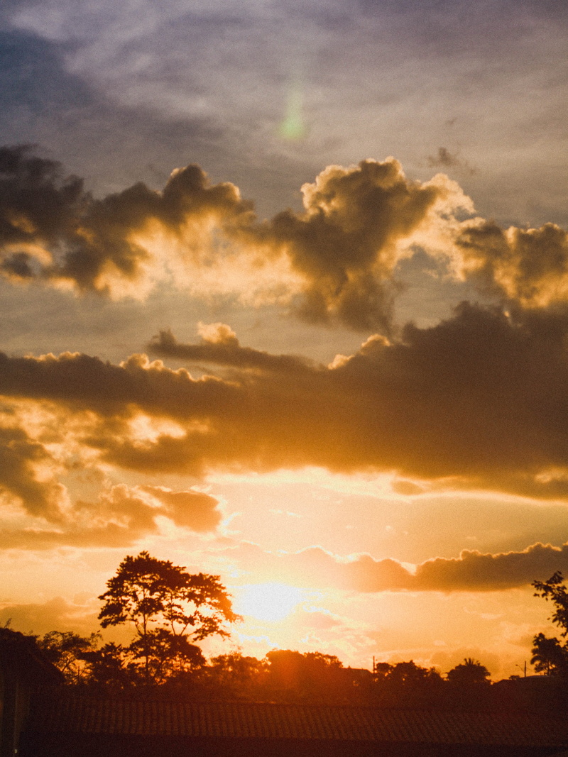 trees, beauty in nature, clouds, environment, 4K, idyllic, cloud - sky, tranquility, no people, view, heaven, orange color, silhouette, dusk, non-urban scene