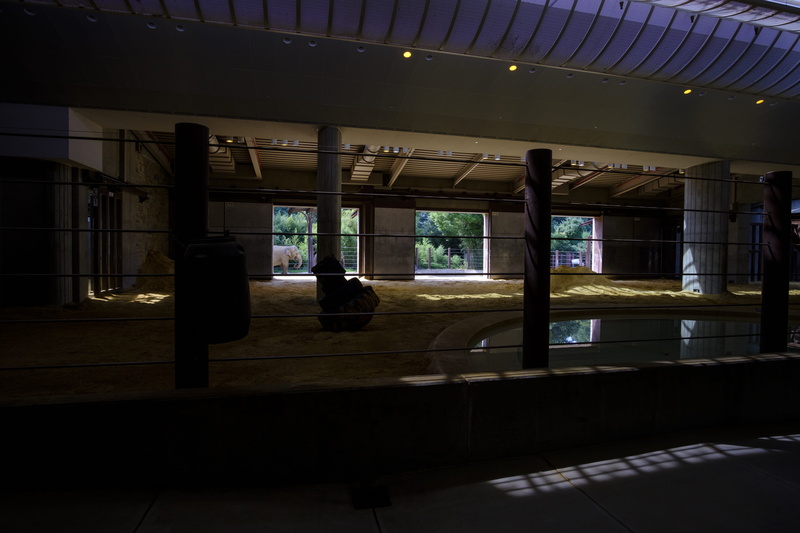transportation, technology, united states, sun, outside, architecture, illuminated, inside, glass - material, smithsonian national zoological park, day