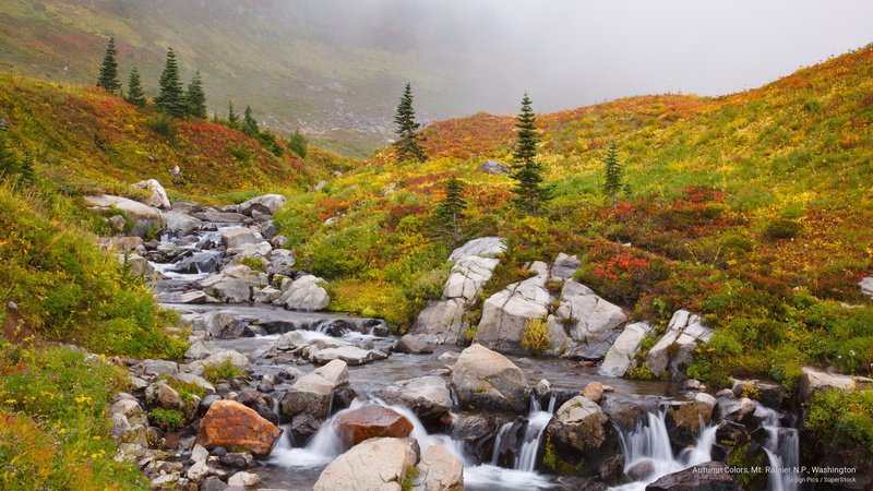rainier, n, p, colors, autumn, mt, Fall, washington, 2K