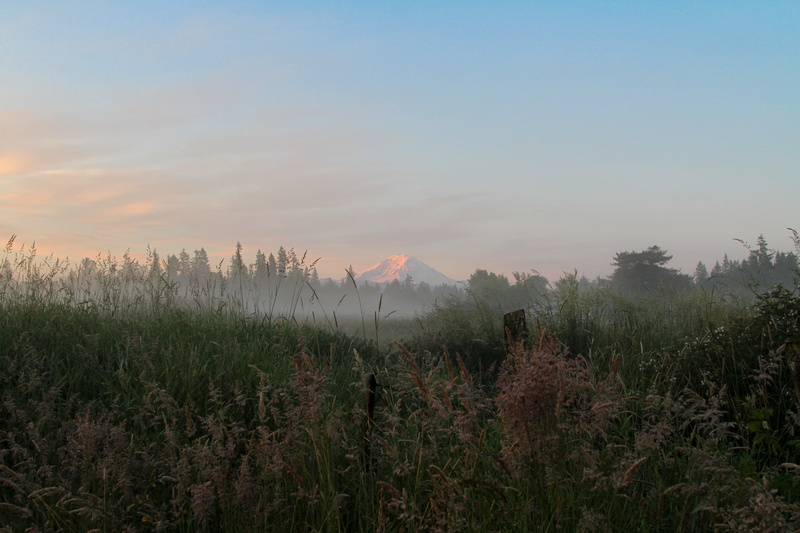 landmark, dawn, washington, environment, light, mount rainier, blue, no people, field, tranquil scene, volcanic crater, summer, landscape, forest, 5K