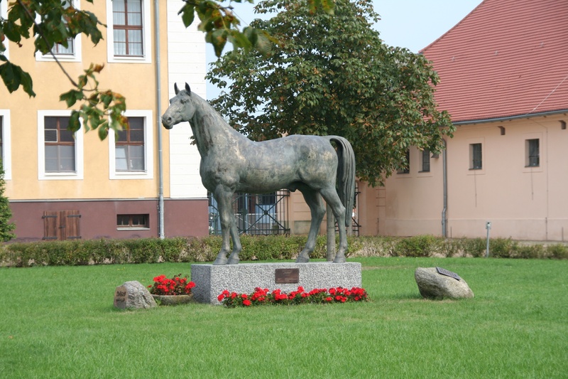 stud neustadt dosse, plant, built structure, growth, hummingbird, 2K, front or back yard, creativity, still image, breeding stallion, sculpture, representation