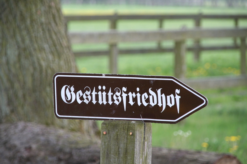 western script, message, text, communication, Shield, close-up, information, orientation, stud farm cemetery, trunk, tree trunk, 2K, tree, wooden post