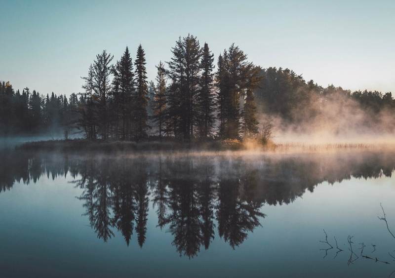 outdoors, tranquil scene, idyllic, day, lake, no people, tree, mist, fog, 1080P, reflection lake, water, waterfront, plant, trees, sky, scenics - nature