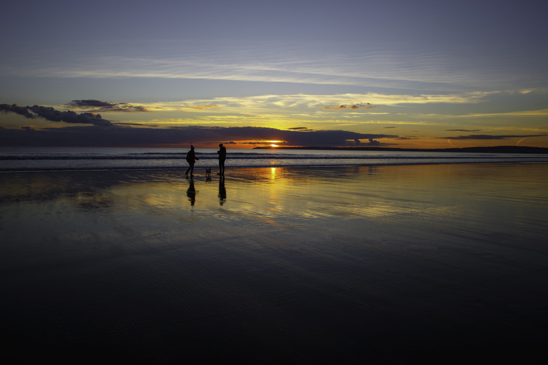 beauty in nature, seascape, lifestyle, reflection, united kingdom, sky, sea, silhouette, standing, dog, artist, lovers, outdoors, nature, autumn, tranquility