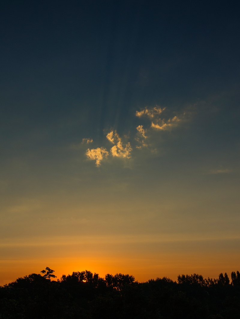rays, zagreb, morning, idyllic, sun, 4K, no people, sky, weather, plant, tranquil scene, clouds, growth, environment, morning light, cloud - sky, croatia