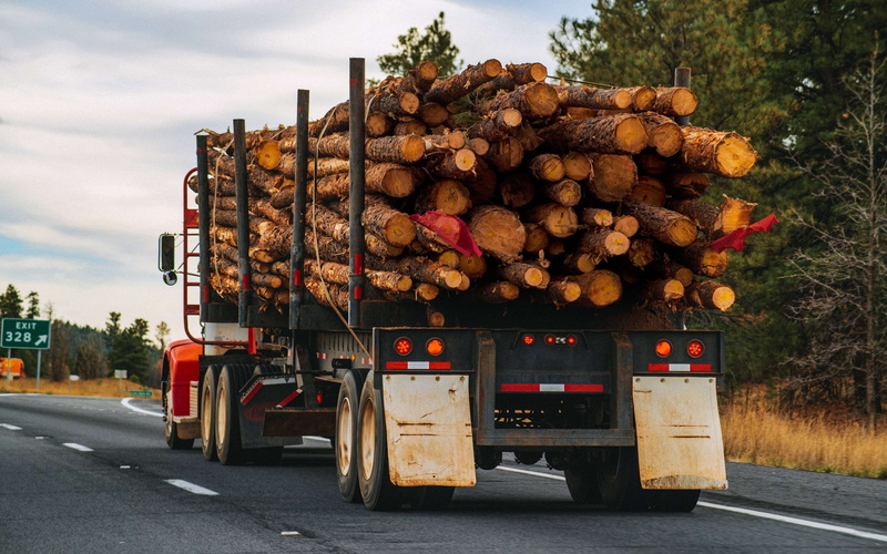 log driving, sky, street, nature, firewood, wood logs, truck, wood, day, hardwood, truckers, stack, tree, land vehicle, plant, deforestation, stacked wood