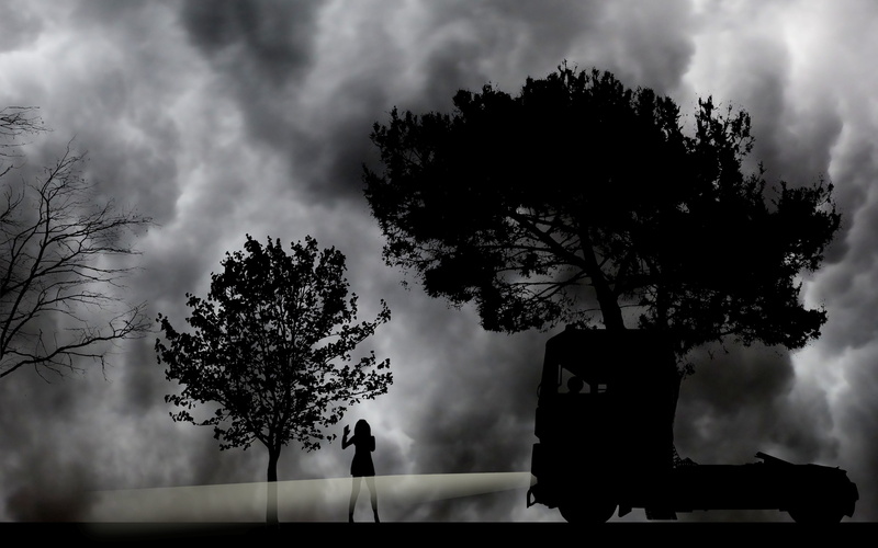 woman, tree, women, outdoors, two people, atmosphere, nature, leisure activity, growth, 2K, night, dark, light, stop, togetherness, standing, people, silhouette