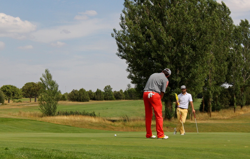 green - golf course, man, sticks, sand, tree, field, lifestyles, day, lerma, men, weekend activities, sportsman, leisure activity, golfer, golf course