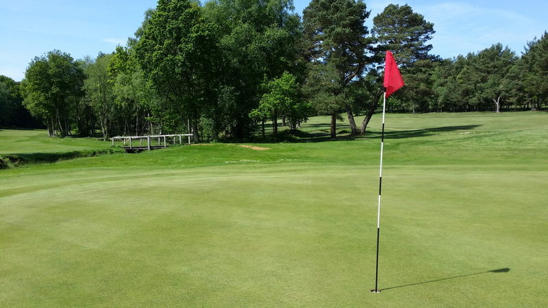 flag, daytime, no people, plant, outdoor, near, 4K, green color, golfer, summer, putting green, landscape, green - golf course, outdoors, pole, golf flag