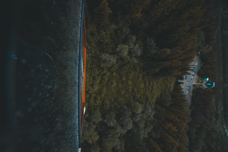 nature, architecture, Above it all, angle, high angle view, cart, street, no people, tree, scenics - nature, night, outdoors, reflection, water, illuminated