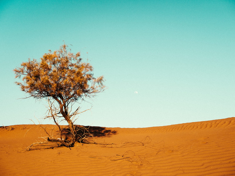 arid climate, sky, tranquility, clear sky, 4K, no people, scenics - nature, yellow sand, day, dry, sand, dune, outdoor, climate, heat, summer, remote