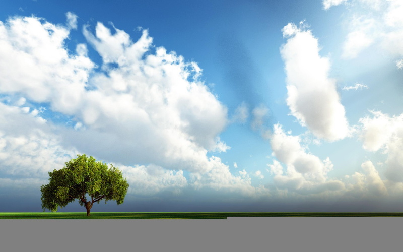 sunshine, 3d and abstract, clouds, endless green, 2K, tree, field, grass, green, lonly tree, endless