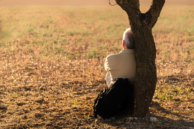 human body part, sunlight, rear view, field, day, clothing, one person, trunk, tree, sun, soledad, standing, afternoon, nature, hairstyle, human hand, silhouettes
