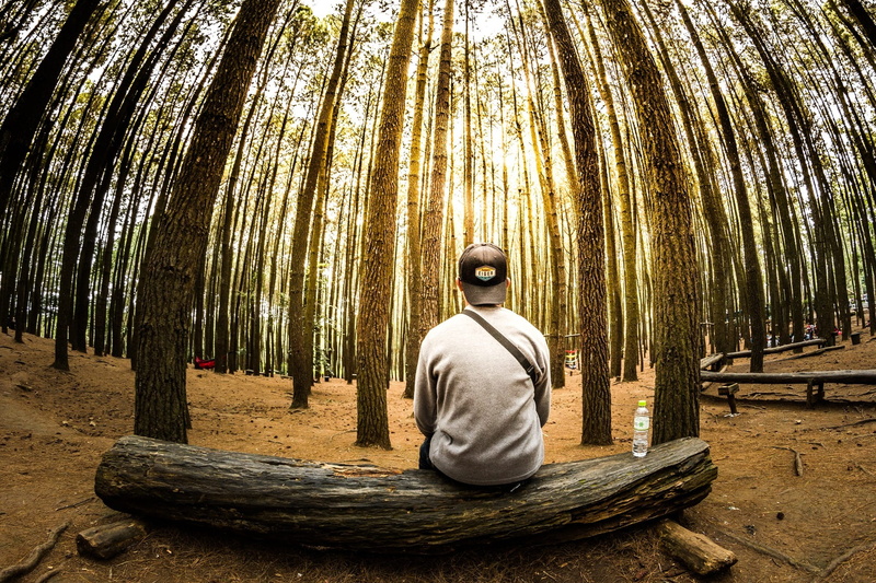 beauty in nature, leisure activity, 1080P, front, rear view, sunshine, sitting, waiting, sky, day, thinking, real people, lifestyles, bamboo, woodland