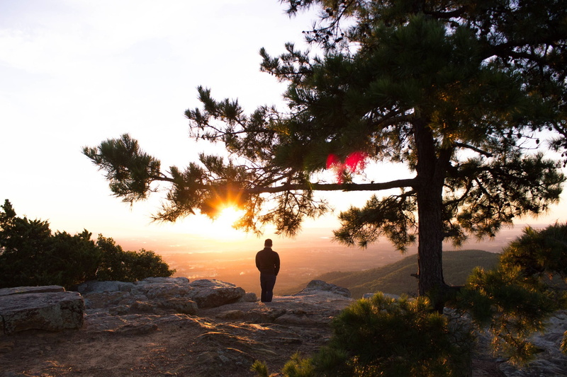 scenic, leisure activity, green, plant, man, backlight, view, cone, lookout, sun, high, outdoors, trees, tranquil scene, sunset, 1080P, looking, growth
