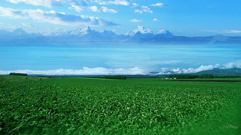 1080P, 3d and abstract, country, green, mountains, fields, sea, clouds, beyond, plants, field, farm