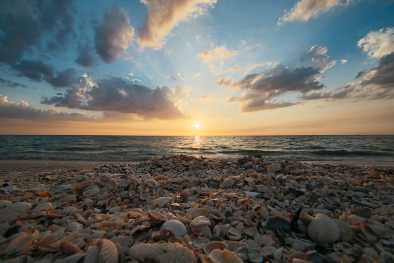 5K, beauty in nature, horizon, no people, ocean, sunrise, calm waters, horizon over water, seashell, nature, sun, idyllic, clouds, land, sea shells, rock