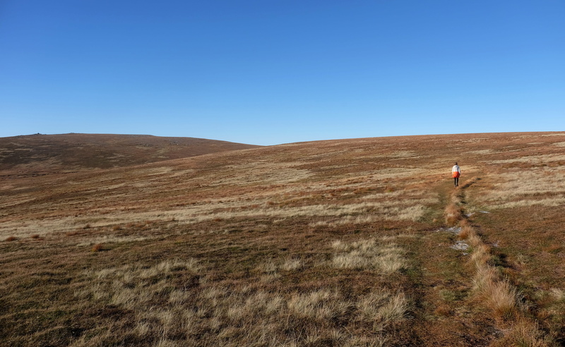 path, brown, norway, one person, traveller, pathway, field, outdoors, leisure activity, beige, land, environment, non-urban scene, nature, trip, top, plant