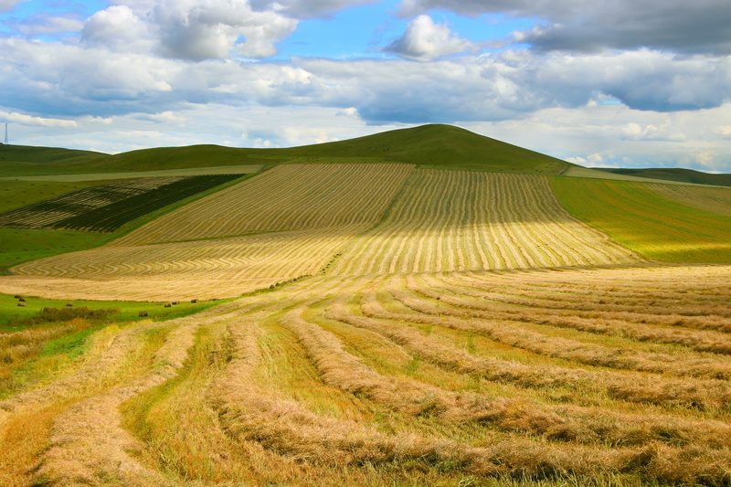 rural scene, beauty in nature, day, no people, nature, field, tranquil scene, outdoors, agriculture, tranquility, the vast, environment, cloud - sky, prairie