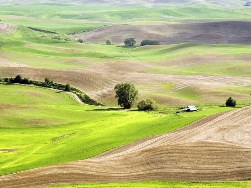 landscape, 480P, Green, art, cultivated, view, Fields, hd, nature, vast