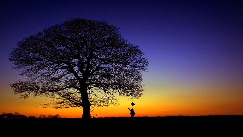 heart, girl, romantic, 1080P, sunset, tree