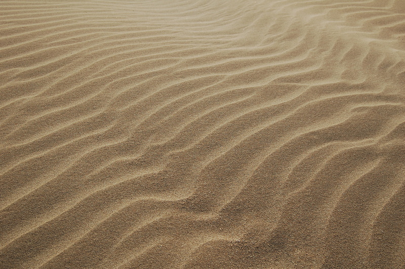 land, backgrounds, dry, desert, dunes, arid climate, textured, 2K, no People, full frame, scenics - nature, sand Dune, texture, nature, summer, wave Pattern