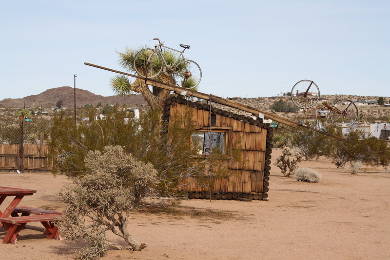 house, building, plant, clear sky, sky, building exterior, day, joshua tree, residential district, landscape, land, gate, mojave, nature, wood - material