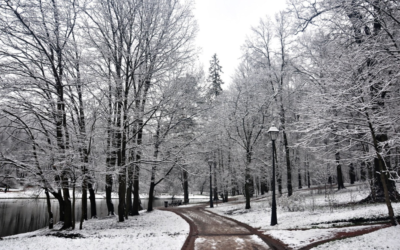 park, tree, outdoors, no people, snow, land, beauty in nature, trees, lake, tranquil scene, plant, forest, environment, scenics - nature, bench, covering