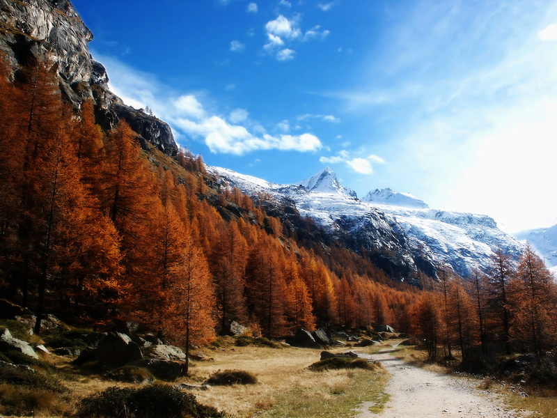 720P, gran, paradiso