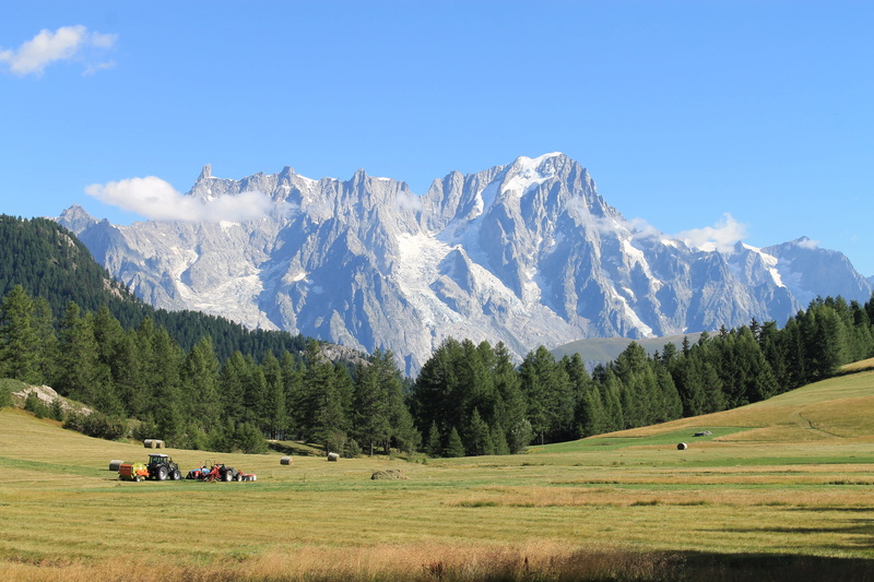 italy, non-urban scene, rural scene, 4K, nature, day, alps, snow, snowcapped mountain, pine tree, fields, outdoors, cold temperature, landscape, sky, mountain range