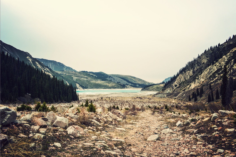 near, brown, remote, beauty in nature, trees, shore, day, rocks, mountain range, landscape, baron, photography, hill, coniferous tree, tranquil scene, 1080P