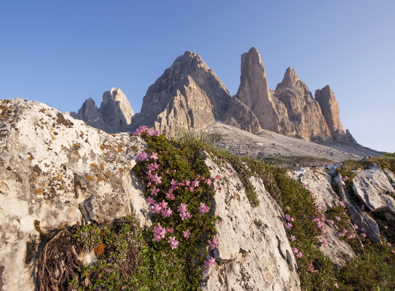 hiking, scenic, outdoors, rock - Object, craggy, scenics - nature, plant, gray, pine tree, coniferous tree, mountain, mountains, 5K, top, majestic, highlands