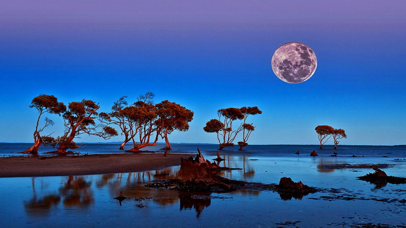 night sky, landscape, africa, full moon, namibia, 1080P, safari, nature, night, moon