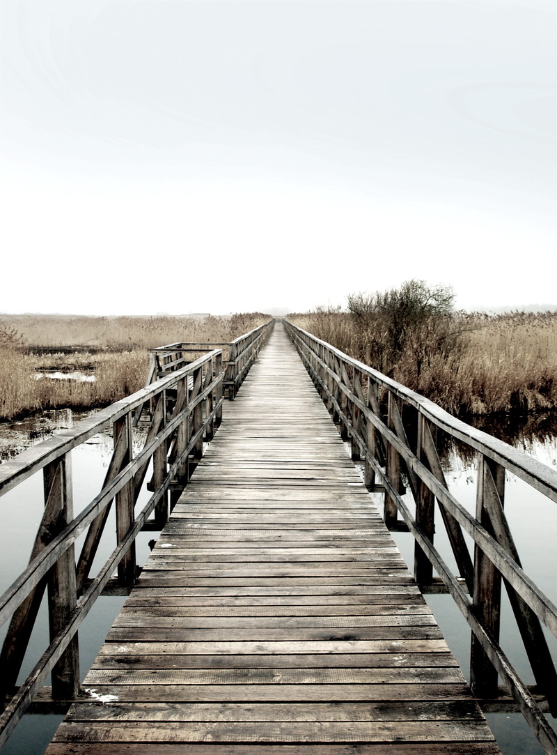 gangplank, sky, wood paneling, wood - material, tranquil scene, tranquility, beauty in nature, long, day, footbridge, 1080P, scenics - nature, railing