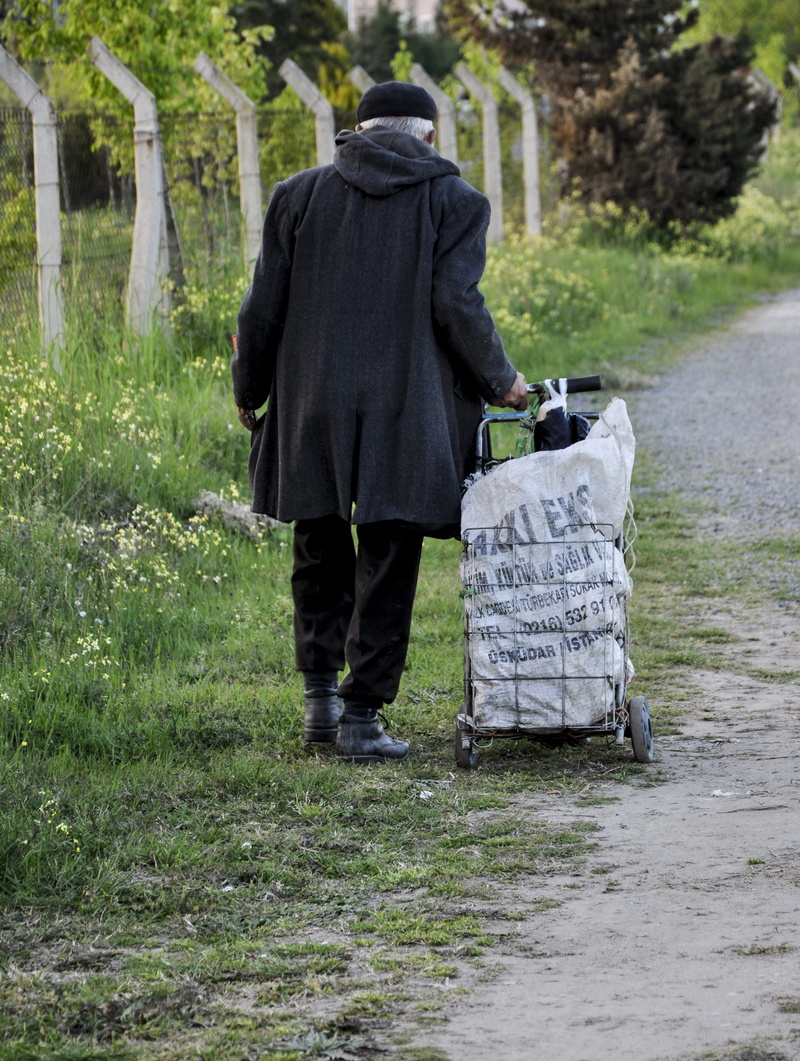 plant, one person, avenue, container, bag, single, casual clothing, grass, nature, 2K, men, outdoors, two, clothing, outdoor, woman, tree, polythene, real people