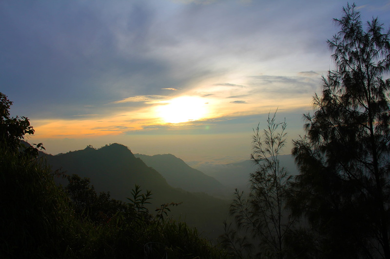 indonesia, tree, cloud - sky, cloud, active, mount bromo, mountain, sunset, adventure, plant, dawn, magnificent, idyllic, asia, morning, overlooking, fog